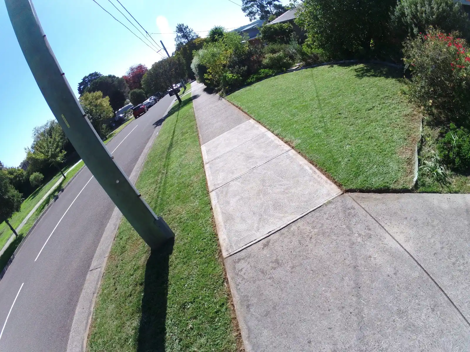 Freshly mown and edged front lawn and nature strip on McKenzie Street